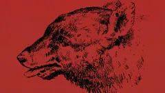 Können Sie die Person in diesem optischen Bild finden?