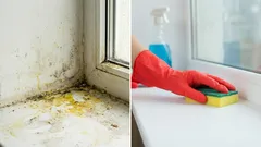 Nur ein Löffel dieser Flüssigkeit bleicht die Fensterbank in 15 Minuten: Einfach ins Wasser geben