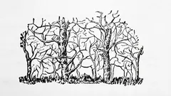 Das erste Tier, das Sie auf dem Bild sehen, offenbart Ihre wahre Persönlichkeit.