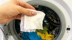 Warum Sie ein feuchtes Tuch in die Waschmaschine legen sollten: ein Lifehack, den Sie bestimmt noch nicht kannten