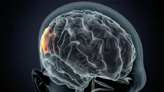 Sie sollten wissen, welche Folgen häufiger Schlafmangel für Ihr Gehirn hat